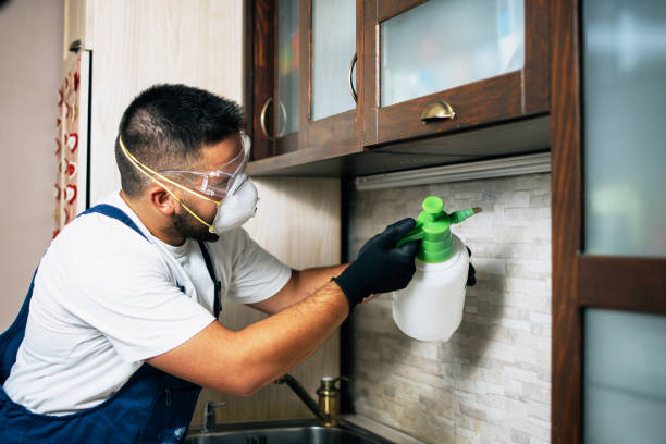 Insect Control in Mount Sterling, OH