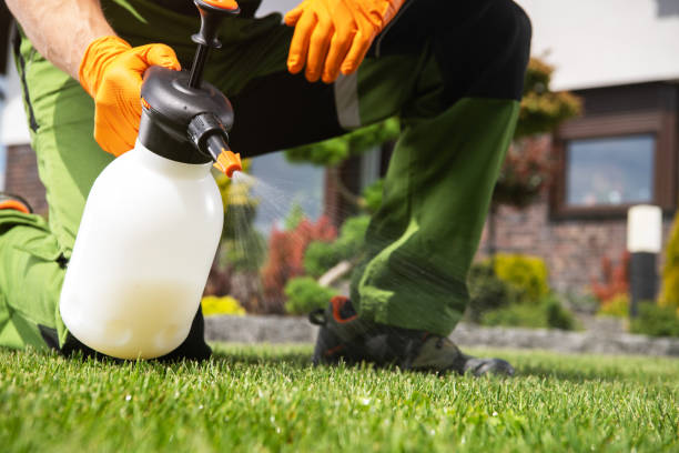 Best Affordable Pest Control Services  in Mount Sterling, OH