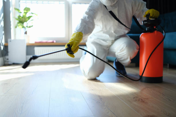 Best Flea Control Services  in Mount Sterling, OH