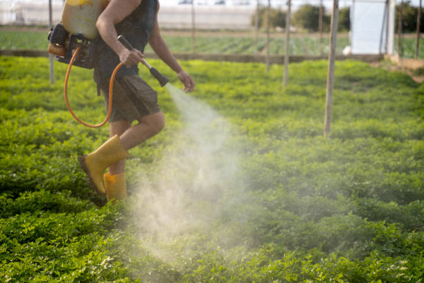 Best Pest Removal Services  in Mount Sterling, OH