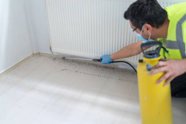 Best Local Pest Control Services  in Mount Sterling, OH