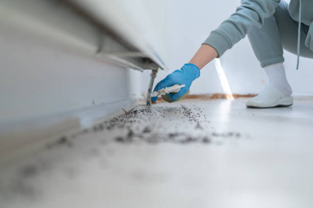 Best Emergency Pest Control  in Mount Sterling, OH