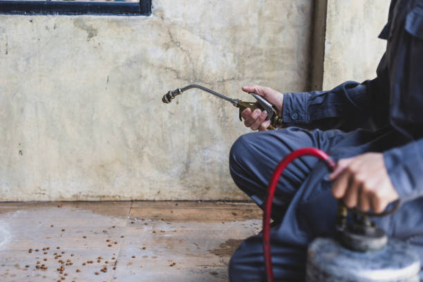 Best Best Pest Control Companies  in Mount Sterling, OH