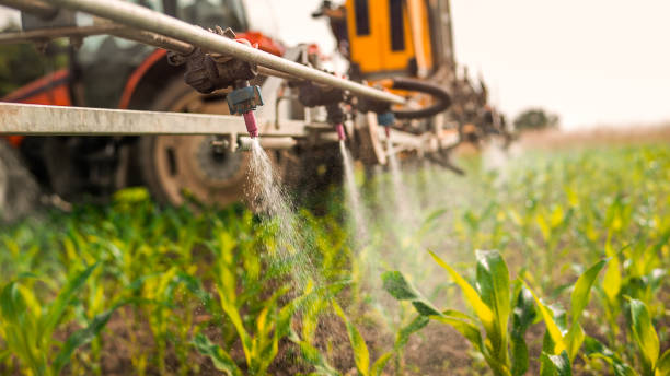Professional Pest Control in Mount Sterling, OH